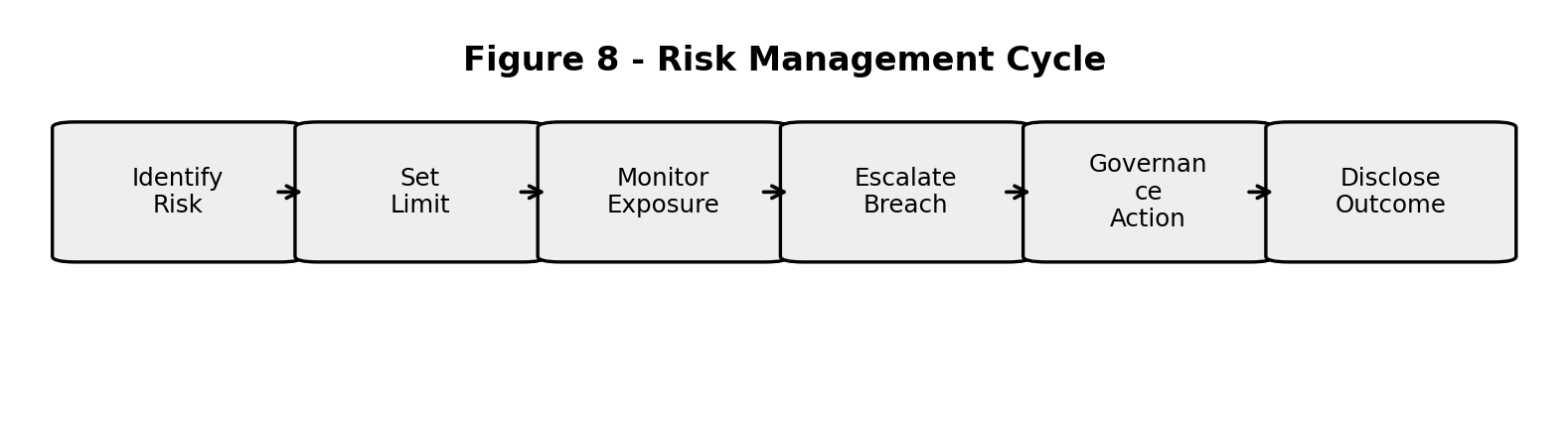 Risk management cycle